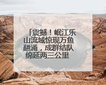 震撼！岷江乐山流域惊现万鱼翻涌，成群结队绵延两三公里 官方：鱼群在此产卵