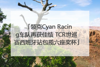 领克Cyan Racing车队再获佳绩 TCR世巡赛西班牙站包揽六座奖杯
