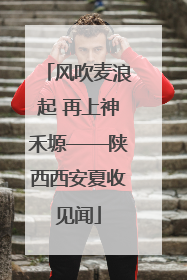 风吹麦浪起 再上神禾塬——陕西西安夏收见闻