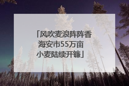 风吹麦浪阵阵香 海安市55万亩小麦陆续开镰