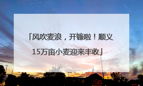风吹麦浪，开镰啦！顺义15万亩小麦迎来丰收