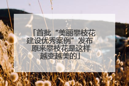 首批“美丽攀枝花建设优秀案例”发布 原来攀枝花是这样越变越美的