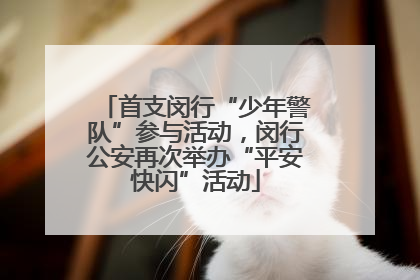 首支闵行“少年警队”参与活动，闵行公安再次举办“平安快闪”活动