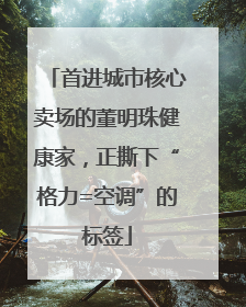 首进城市核心卖场的董明珠健康家，正撕下“格力=空调”的标签