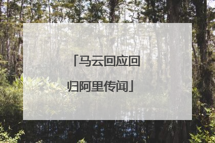 马云回应回归阿里传闻