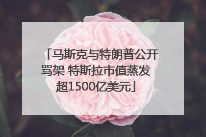 马斯克与特朗普公开骂架 特斯拉市值蒸发超1500亿美元