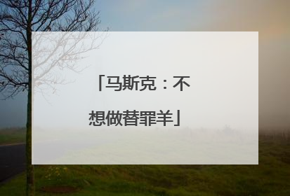 马斯克：不想做替罪羊