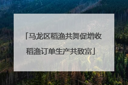 马龙区稻渔共舞促增收 稻渔订单生产共致富