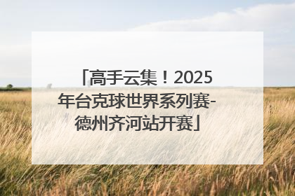 高手云集！2025年台克球世界系列赛-德州齐河站开赛