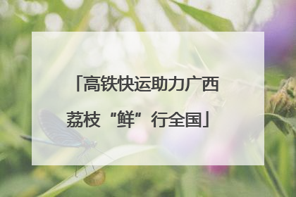 高铁快运助力广西荔枝“鲜”行全国