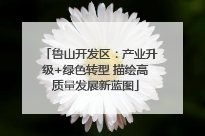 鲁山开发区：产业升级+绿色转型 描绘高质量发展新蓝图