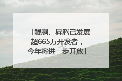 鲲鹏、昇腾已发展超665万开发者，今年将进一步开放