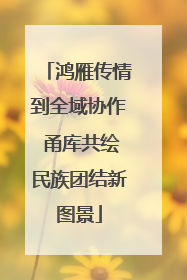 鸿雁传情到全域协作 甬库共绘民族团结新图景