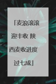 麦浪滚滚迎丰收 陕西麦收进度过七成