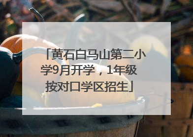 黄石白马山第二小学9月开学，1年级按对口学区招生