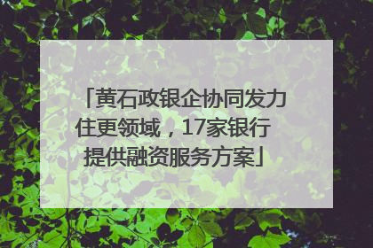 黄石政银企协同发力住更领域，17家银行提供融资服务方案