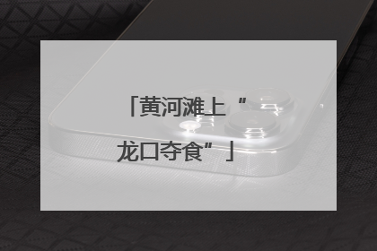 黄河滩上“龙口夺食”