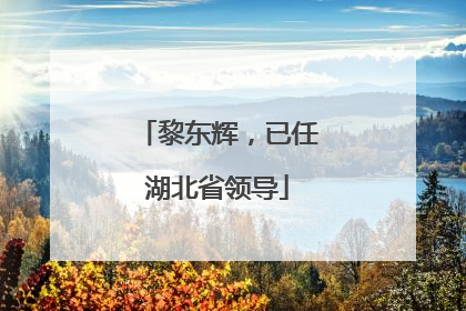 黎东辉，已任湖北省领导