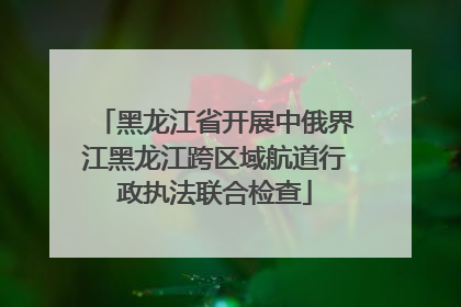 黑龙江省开展中俄界江黑龙江跨区域航道行政执法联合检查