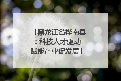 黑龙江省桦南县：科技人才驱动 赋能产业促发展