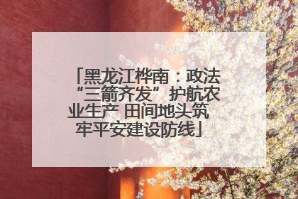 黑龙江桦南：政法“三箭齐发”护航农业生产 田间地头筑牢平安建设防线