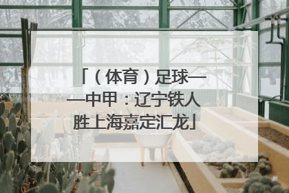 （体育）足球——中甲：辽宁铁人胜上海嘉定汇龙