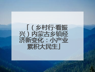 （乡村行·看振兴）内蒙古乡镇经济新变化：小产业累积大民生