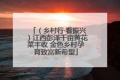 （乡村行·看振兴）江西彭泽千亩黄花菜丰收 金色乡村孕育致富新希望