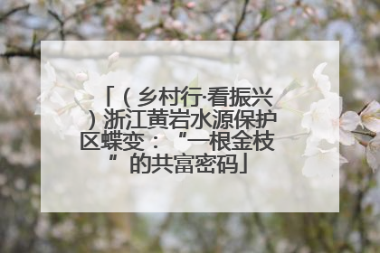 （乡村行·看振兴）浙江黄岩水源保护区蝶变：“一根金枝”的共富密码
