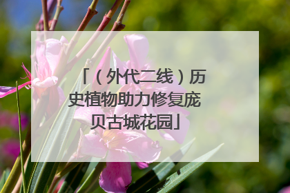 （外代二线）历史植物助力修复庞贝古城花园