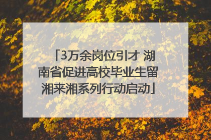 3万余岗位引才 湖南省促进高校毕业生留湘来湘系列行动启动