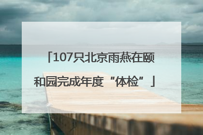 107只北京雨燕在颐和园完成年度“体检”