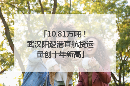10.81万吨！武汉阳逻港直航货运量创十年新高