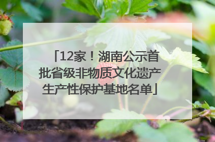 12家！湖南公示首批省级非物质文化遗产生产性保护基地名单