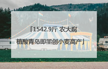 1542.9斤 农大腐植酸青岛即墨创小麦高产