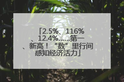2.5%、116%、12.4%……第一、新高！“数”里行间感知经济活力