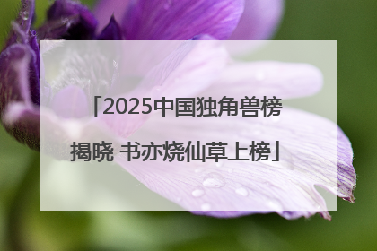 2025中国独角兽榜揭晓 书亦烧仙草上榜