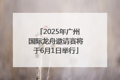2025年广州国际龙舟邀请赛将于6月1日举行