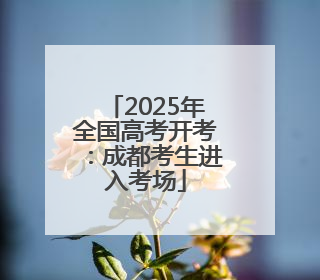 2025年全国高考开考：成都考生进入考场