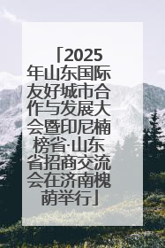 2025年山东国际友好城市合作与发展大会暨印尼楠榜省·山东省招商交流会在济南槐荫举行
