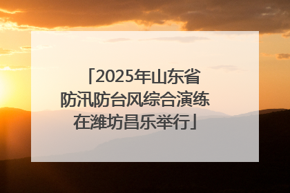 2025年山东省防汛防台风综合演练在潍坊昌乐举行