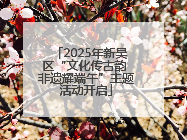 2025年新吴区“文化传古韵 非遗耀端午”主题活动开启