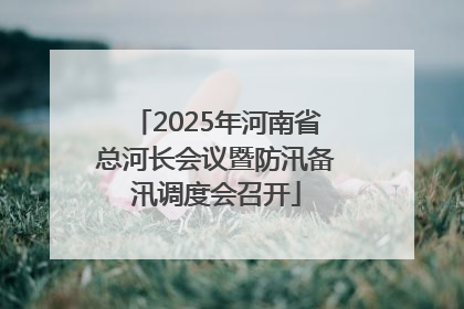 2025年河南省总河长会议暨防汛备汛调度会召开