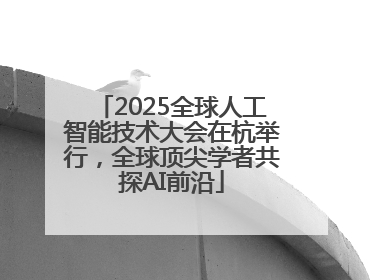 2025全球人工智能技术大会在杭举行，全球顶尖学者共探AI前沿
