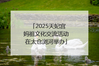 2025天妃宫妈祖文化交流活动在太仓浏河举办