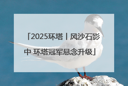 2025环塔丨风沙石影中 环塔冠军悬念升级