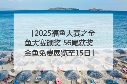 2025福鱼大赛之金鱼大赛颁奖 56尾获奖金鱼免费展览至15日
