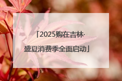 2025购在吉林·盛夏消费季全面启动