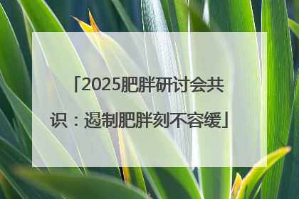 2025肥胖研讨会共识：遏制肥胖刻不容缓