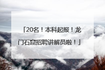 20名！本科起报！龙门石窟招聘讲解员啦！